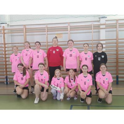 Igrzyska Dzieci w Mistrzostwach Powiatu w piłce ręcznej dziewcząt Igrzyska Dzieci w Mistrzostwach Powiatu w piłce ręcznej dziewcząt