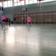 PIMS 2