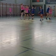 PIMS 3