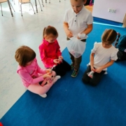 IMG-20250312-WA0016