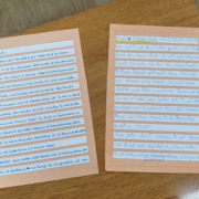 MVIMG_20260218_084519