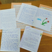 MVIMG_20260218_084553