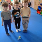 3robot