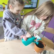IMG_20260317_100646